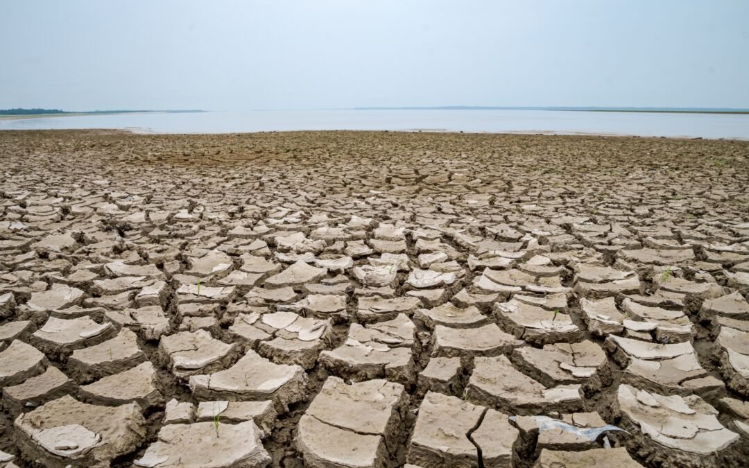 ALERTA DE ESTIAGEM SEVERA E AQUECIMENTO DA ÁGUA NO MÉDIO SOLIMÕES – ANO 2024 – INSTITUTO MAMIRAUÁ