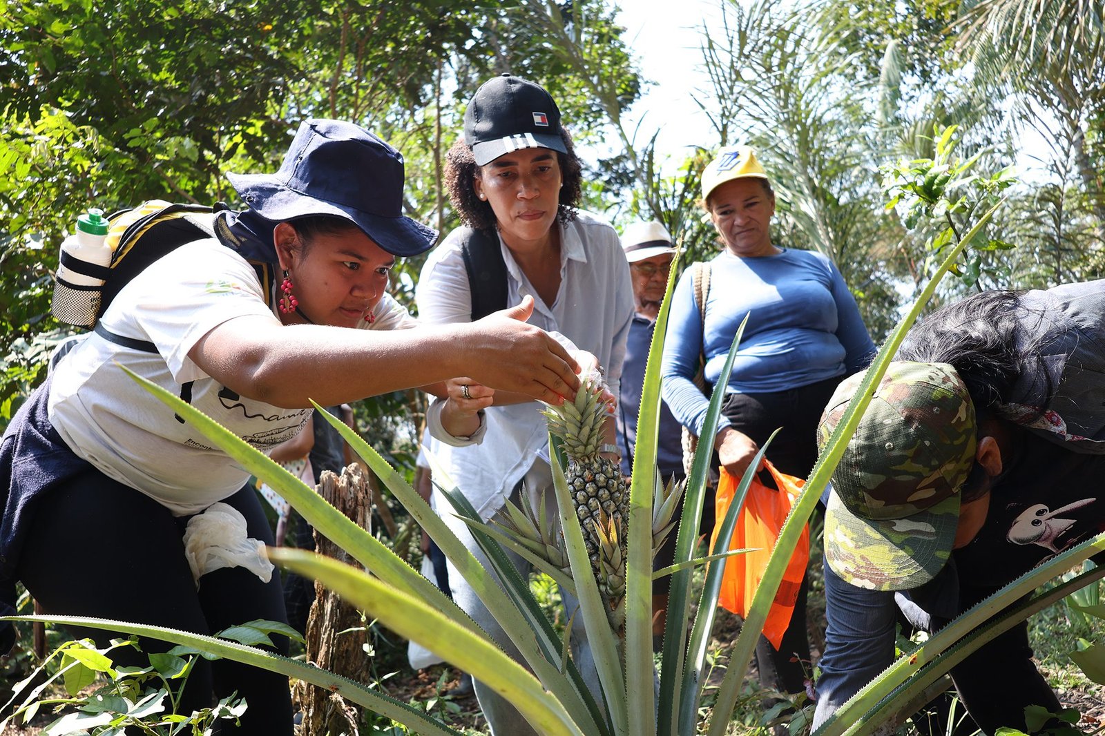 2baa709fd138bc1622e7c279f6dbde42