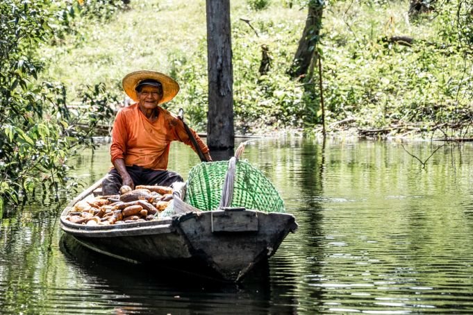 Instituto Mamirauá seleciona bolsistas para estudar práticas agrÃ­colas na Amazônia