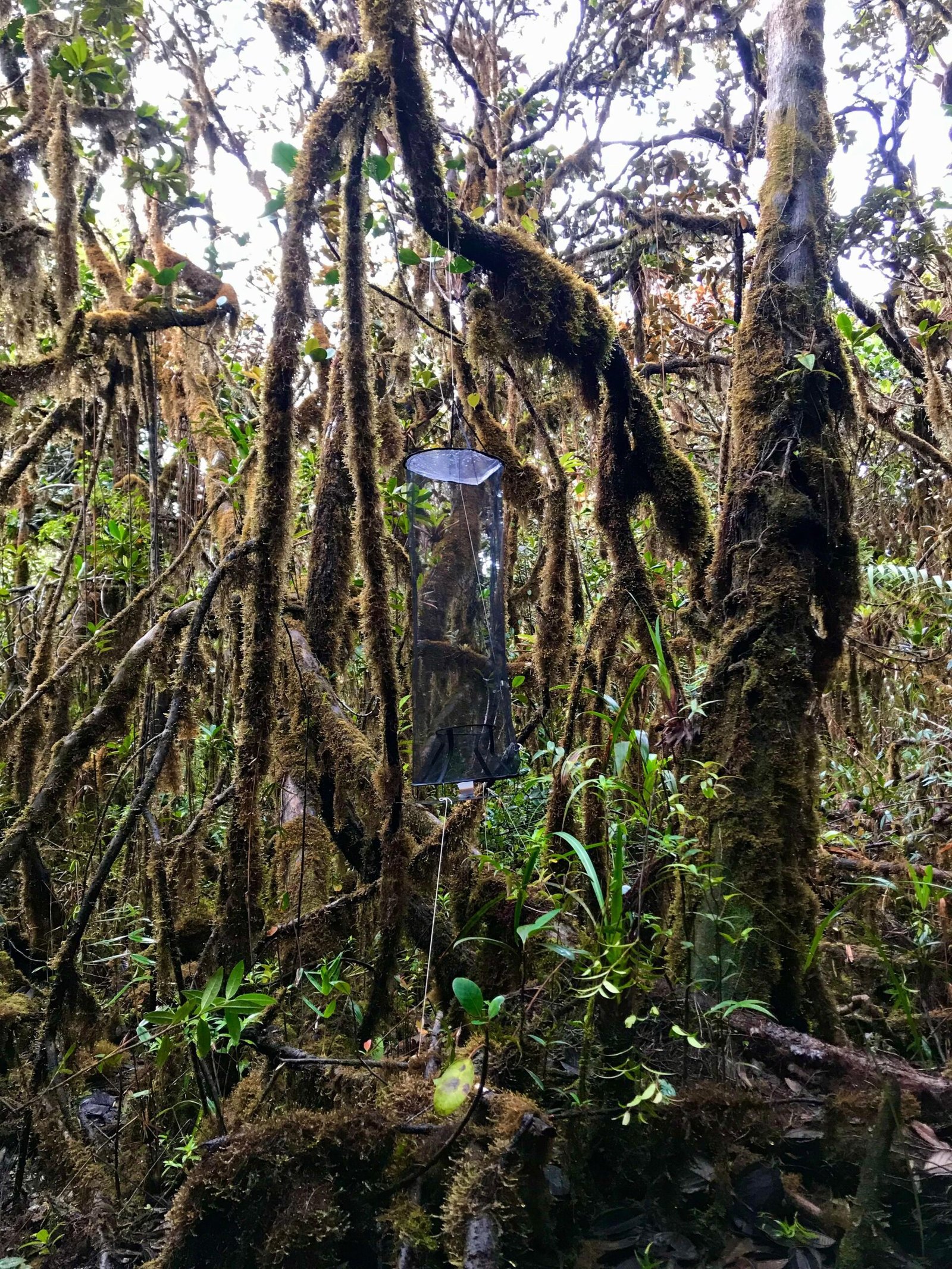 3b9577f01274affa08a3aba5bb486254