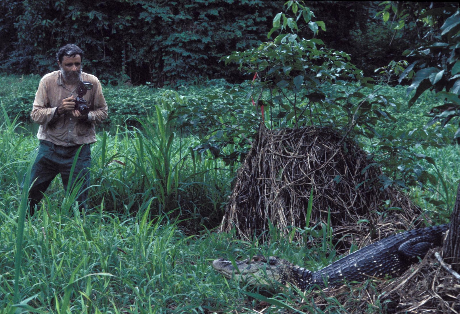 4c0b43dbc7672d2bc076fdb9ab88db2e