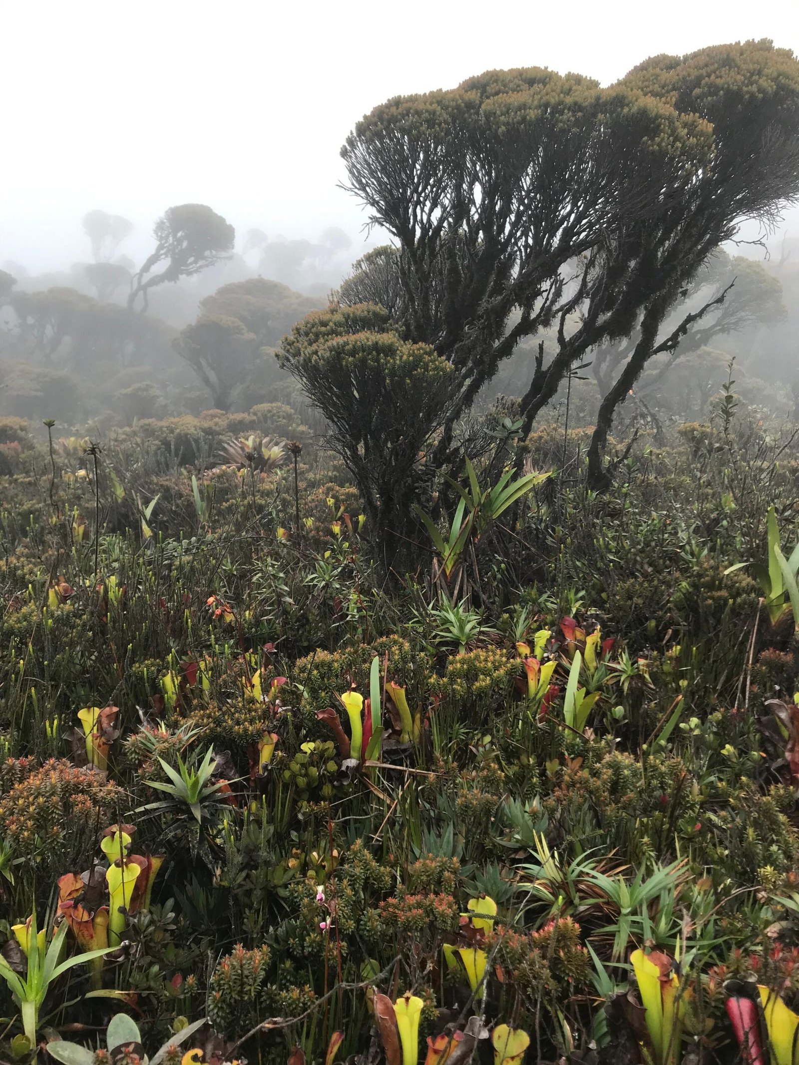 54ab6448687550e848fb8d7315cca87e