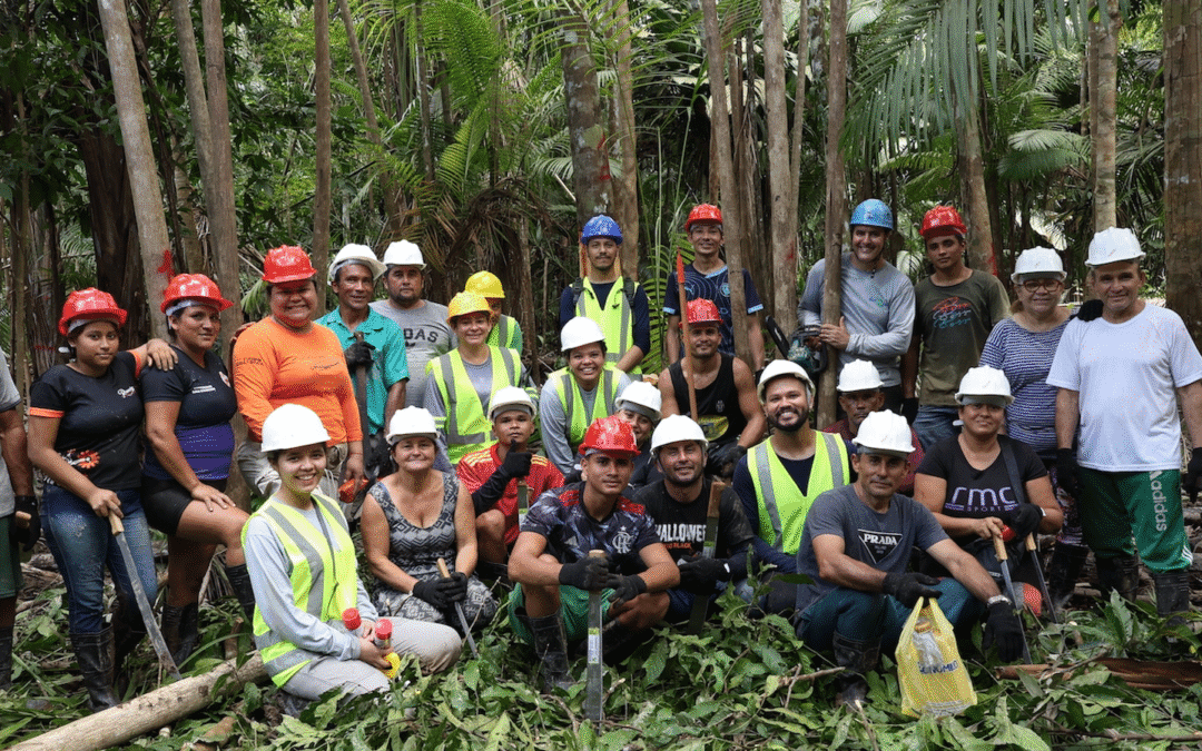 Comunidades da Ilha das Pracuubinhas (PA) fortalecem produção agroextrativista com apoio do Instituto Mamirauá
