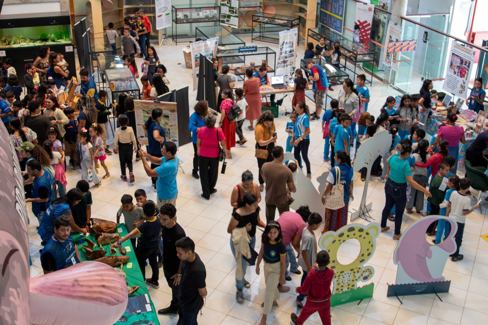 66e66d2406925d791712b8863259a10c