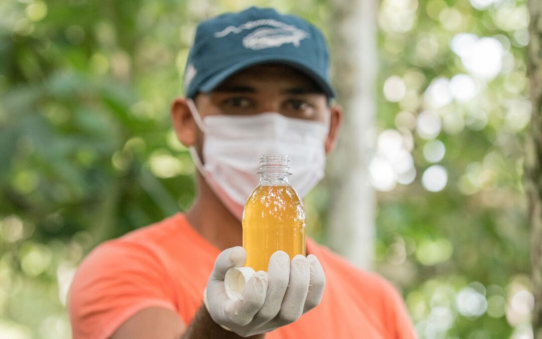 Incubadora Mamirauá lança edital para empreendedores