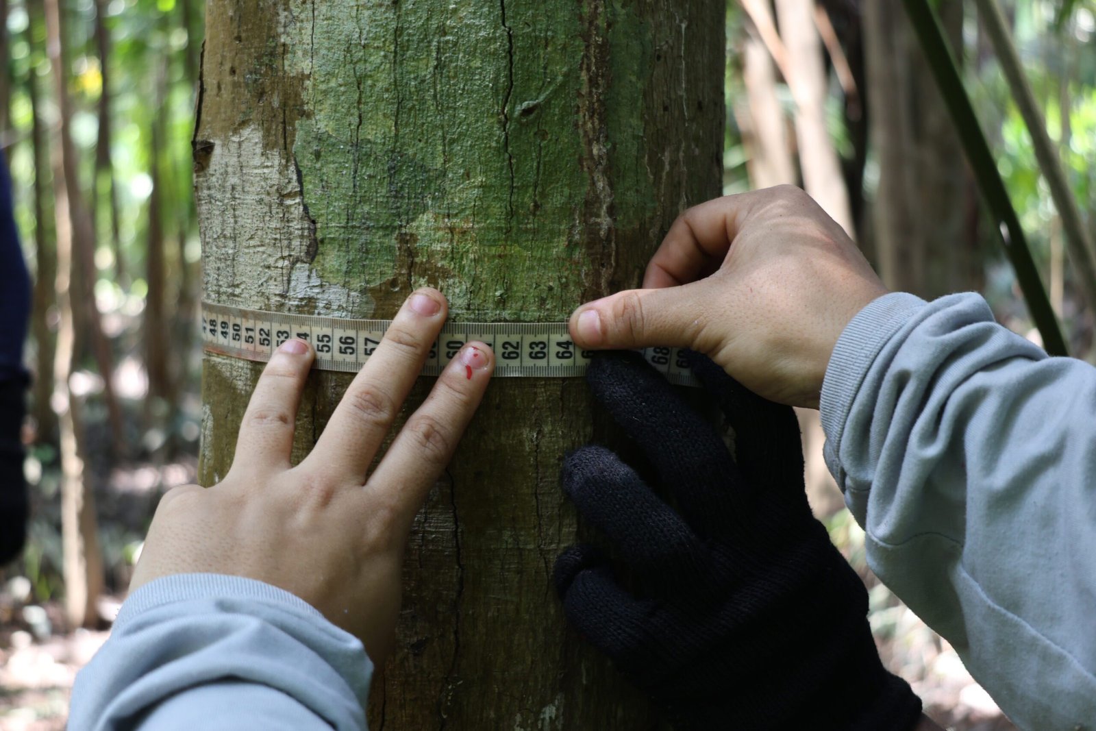 7f65723ab1b91c723af3f4a211ad9a88