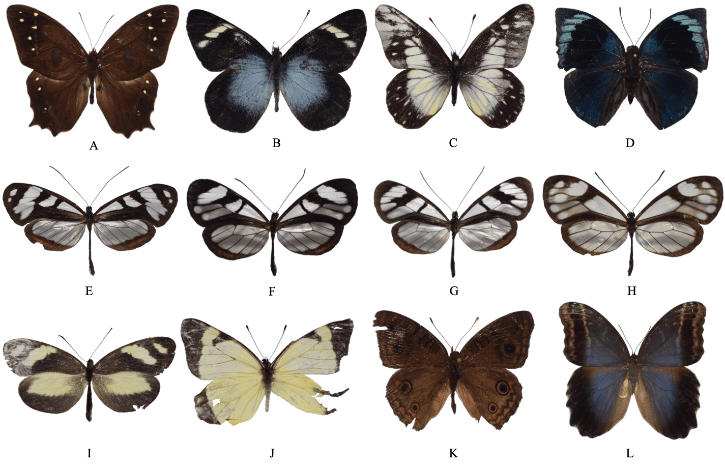 89ba462e8b36b33d58ab7dfed0c61bc1