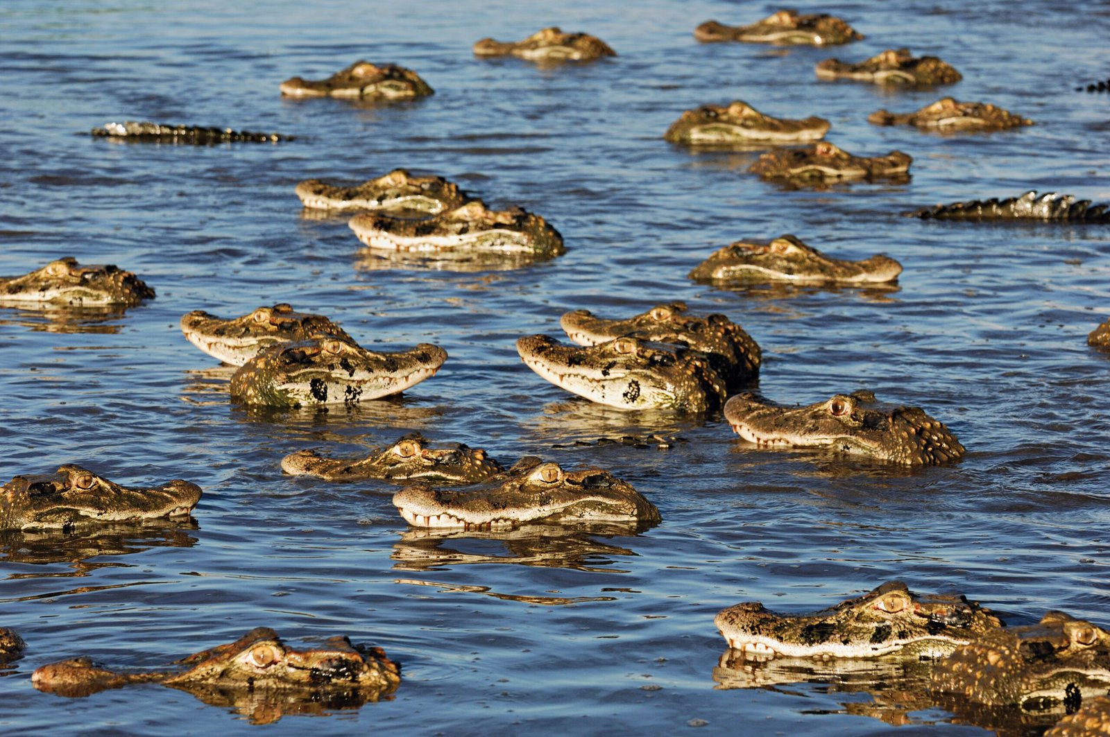 8b965cd80d0a911faed978272926789f