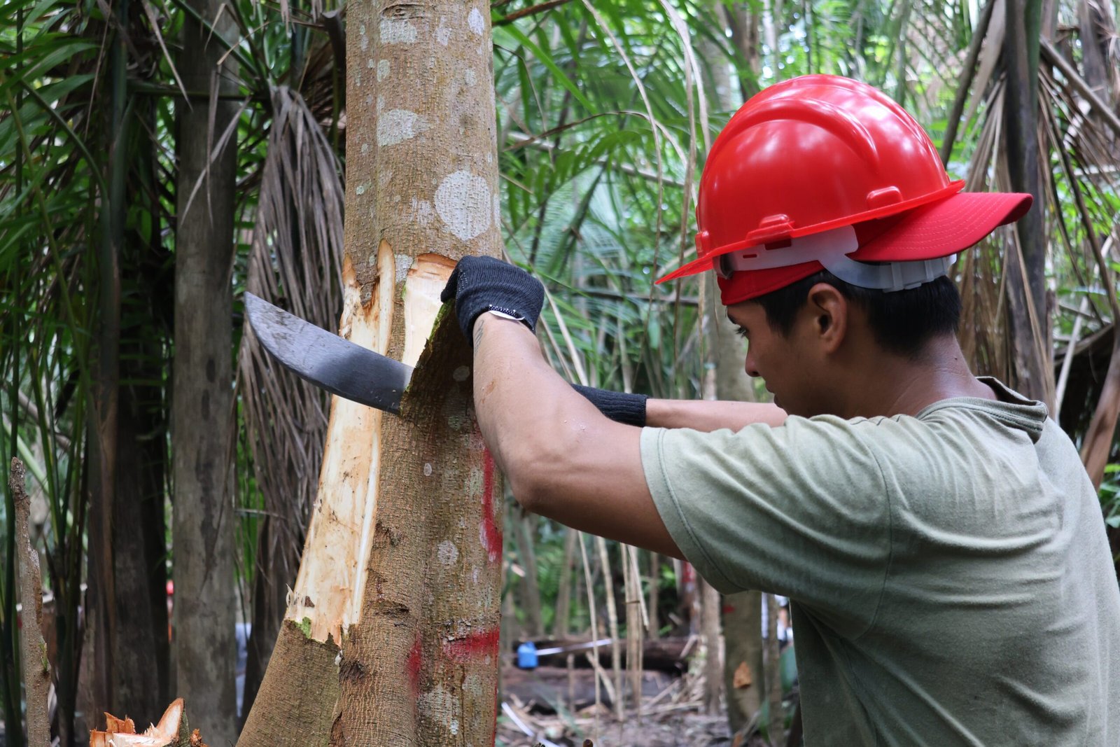 9e33b01b0cc46a687f16abd133077dec