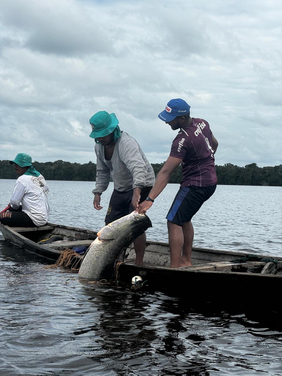 ad49a91e56e012b827a7bd9093a3edfb