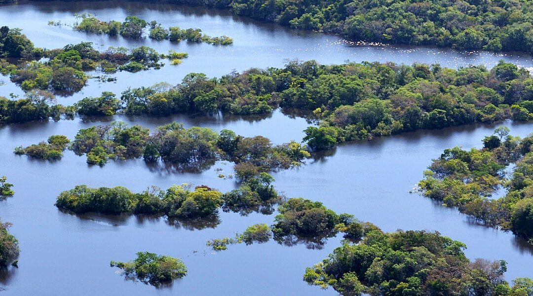 Com número recorde de trabalhos apresentados, 21º Simcon leva ciência e conhecimento para o interior do Amazonas