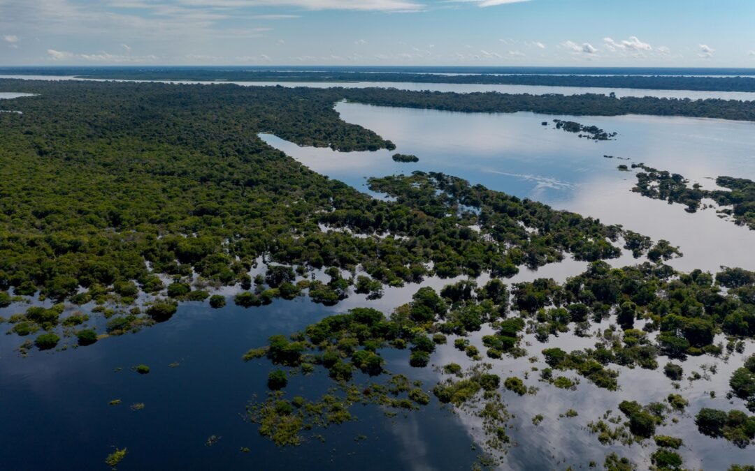 Brasil ganha novo Instituto Nacional de Ciência e Tecnologia: Rede Wetscape visa proteger áreas úmidas em todo o território nacional