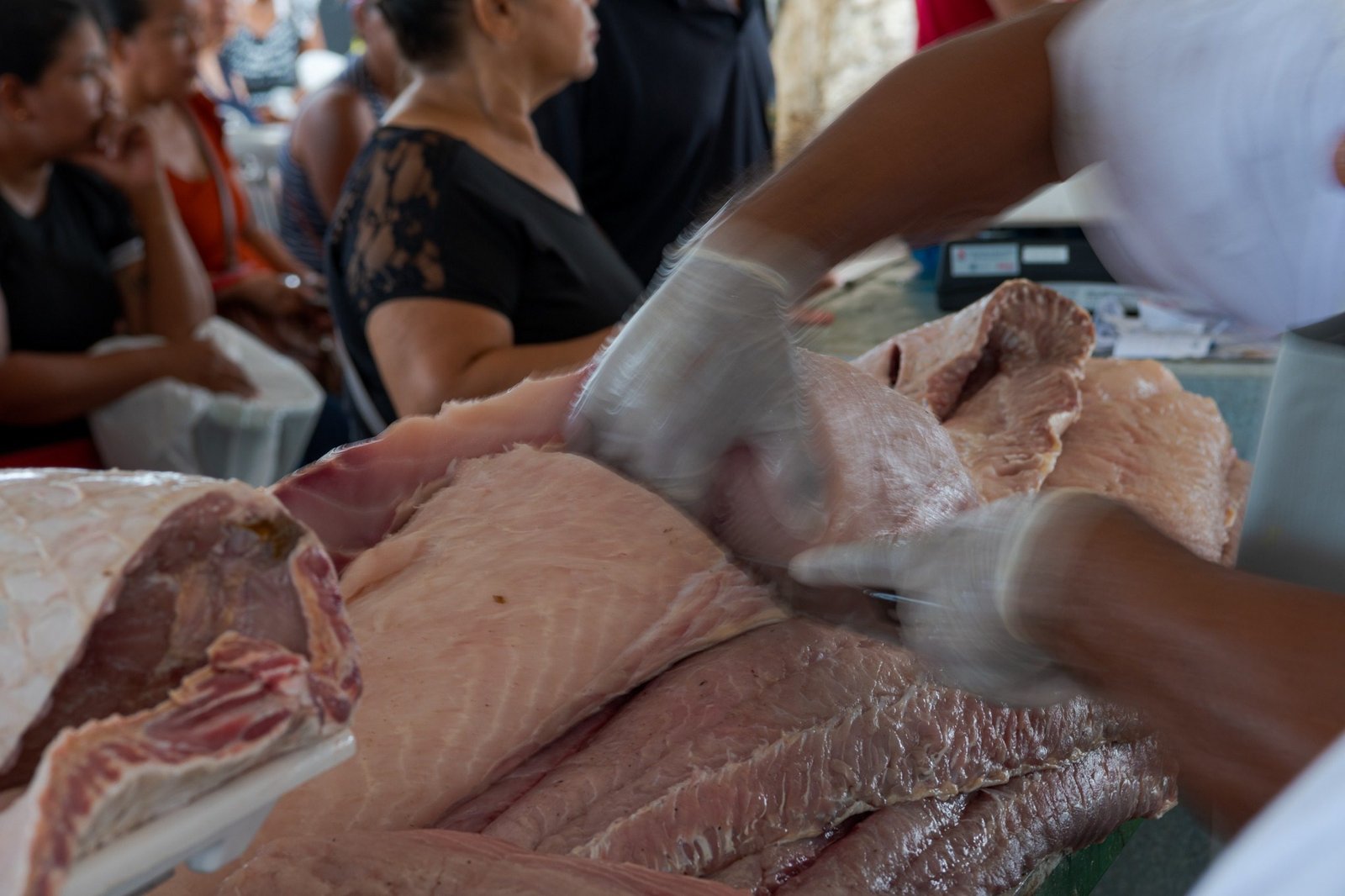 b5aa9d29e084ffed7658f5ed5cbd4a6a