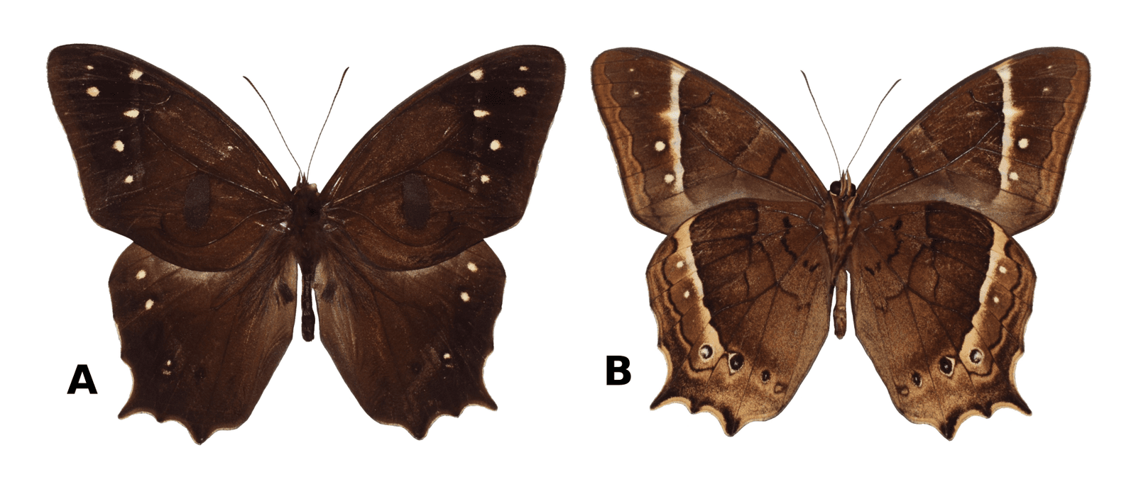 b996166fdf0a56f37f3fa73ff76db99f