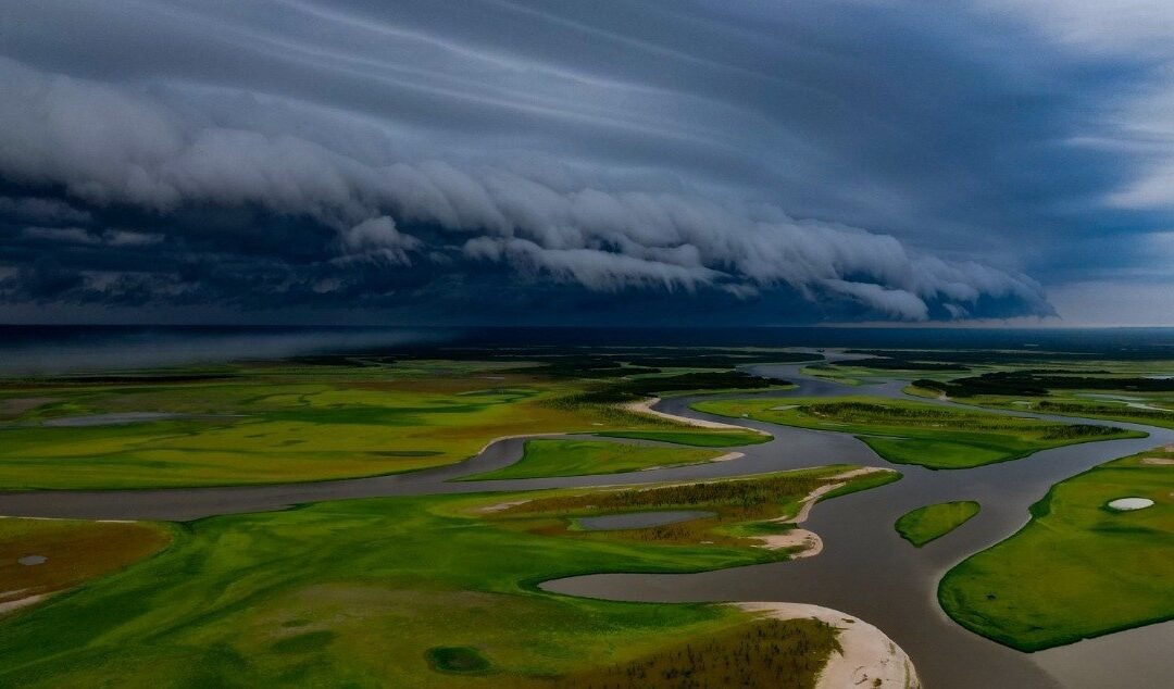 Pesquisador do Instituto Mamirauá conquista primeiro lugar em concurso nacional de fotografia ao retratar chegada da chuva no Amazonas